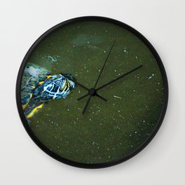  Fresh Water Turtle Swimming Closeup Wall Clock | Swim, Color, Swimming, Green, Exotic, Terrapin, Aquatic, Nature, Animal, Pond 