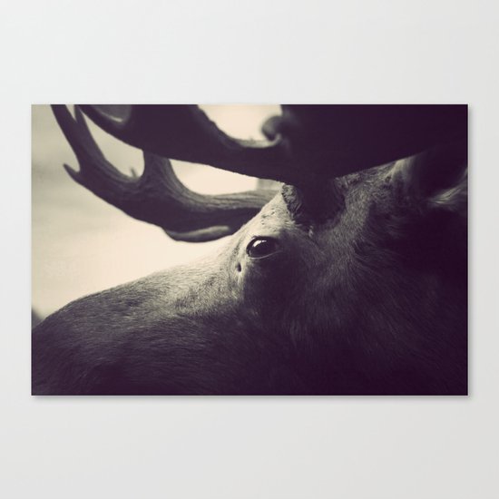 Get Stuffed Canvas Print