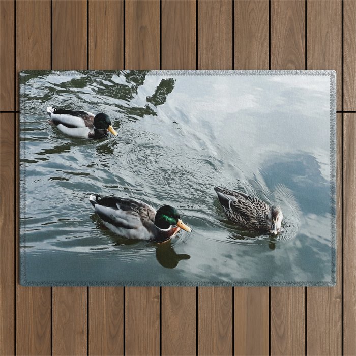 Three ducks swimming Outdoor Rug