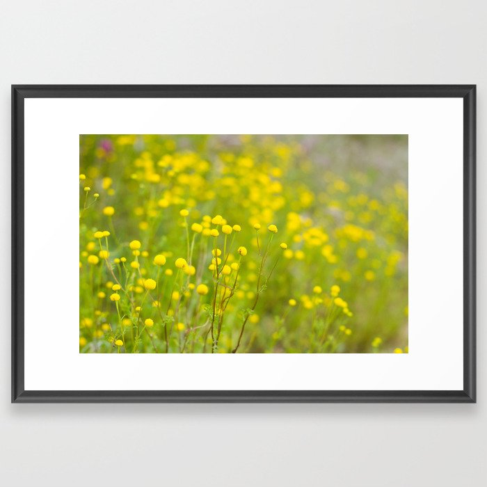 Yellow Flower Field Framed Art Print
