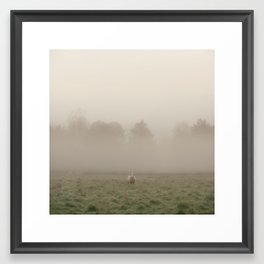 Early Morning in the Sheep Pasture Framed Art Print
