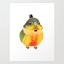 Fanciful Conure with Hat Art Print