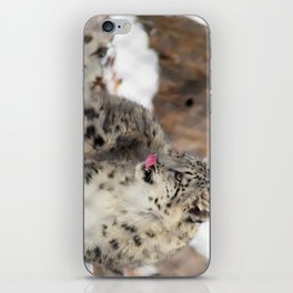 Snow Leopard Cub iPhone Skin