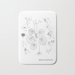 Begonia caramoanensis by Yu Pin Ang Bath Mat | Botany, Specimen, Flower, Forest, Taxonomic, Scientific, Science, Plant, Academic, Line 