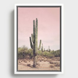 Blush Sky Cactus Framed Canvas