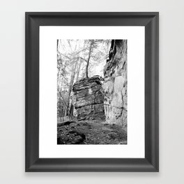 Perched Atop Framed Art Print