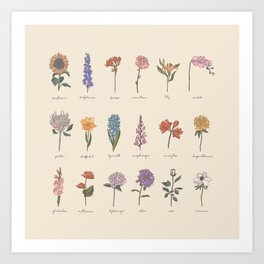 Botanic Flower Identification Art Print