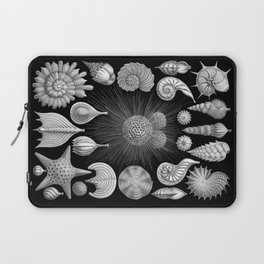 Sea Shells and Starfish (Thalamophora) by Ernst Haeckel Laptop Sleeve