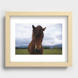 Icelandic Pony Recessed Framed Print