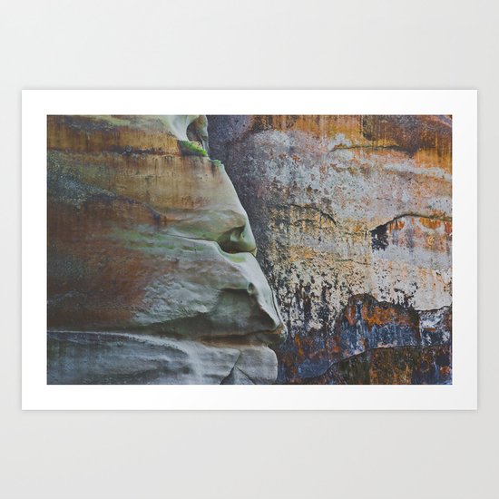 Clever Guise Art Print