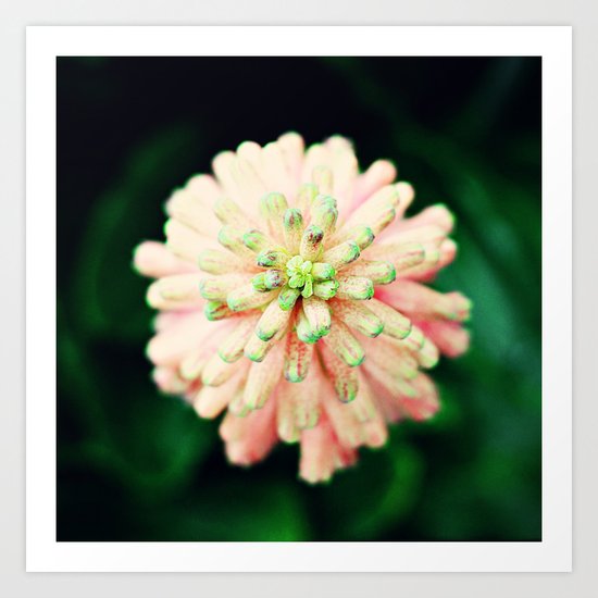 Button Art Print