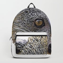 Binturong Bearcat Viverrid Face Grey Moustache Brown Sharp Backpack