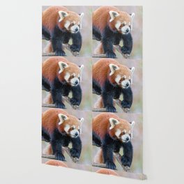 Cute Panda Wallpaper For Any Decor Style Society6