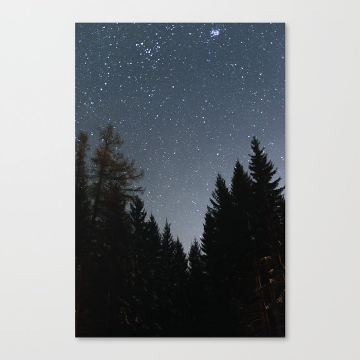 Night Sky in the Woods | Nautre and Landscape Photography Canvas Print