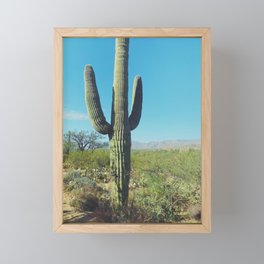 Saguaro Framed Mini Art Print