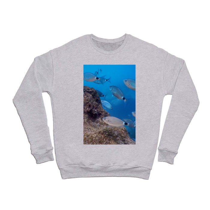 Fish School Underwater. Fishes underwater background. Crewneck Sweatshirt