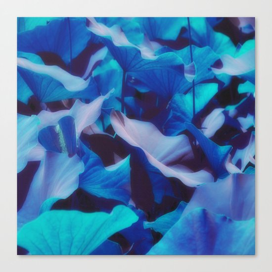 Exotic Leaves Canvas Print