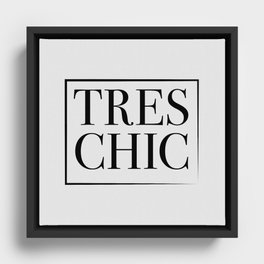 Tres Chic Framed Canvas