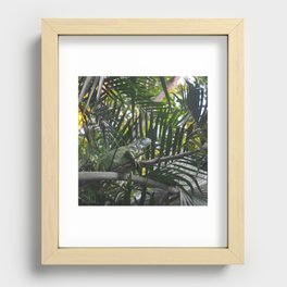 Mexico Photography - Green Iguana Camouflaged In The Leaves Recessed Framed Print