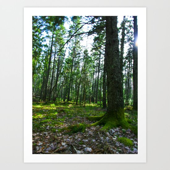 Enchanted Green Art Print