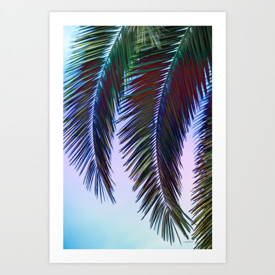 Western Sunset Art Print