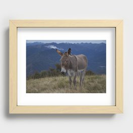 Italian Donkey Recessed Framed Print