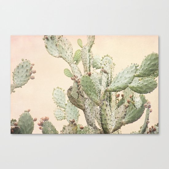 Cactus 2 Canvas Print