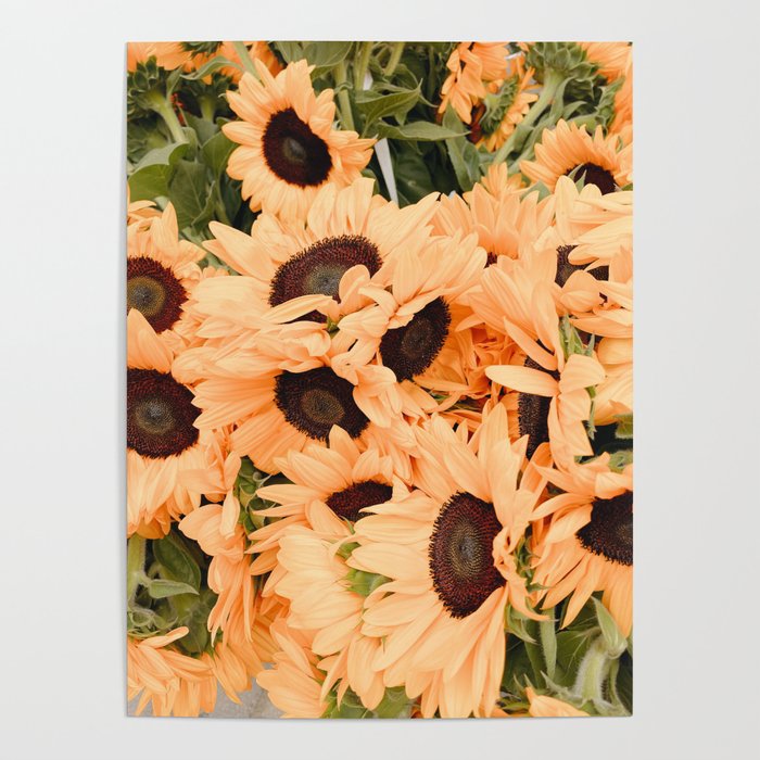 Sunflowers Poster