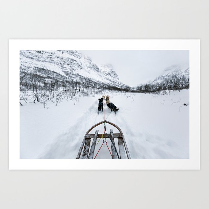 Dog sled in the snow | Tromsø, Norway travel photography | Nature and landscape art print Art Print