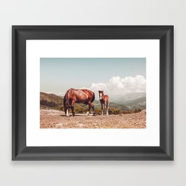 Wild Horses - Horse Photography - Mountains Wanderlust Travel photography by Ingrid Beddoes  Framed Art Print
