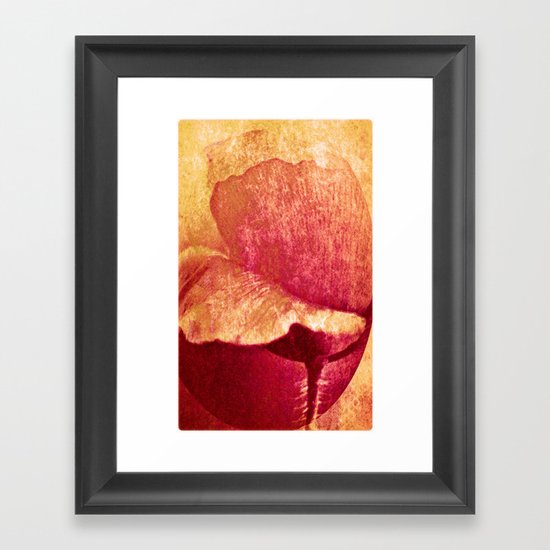 Poppy #II Framed Art Print