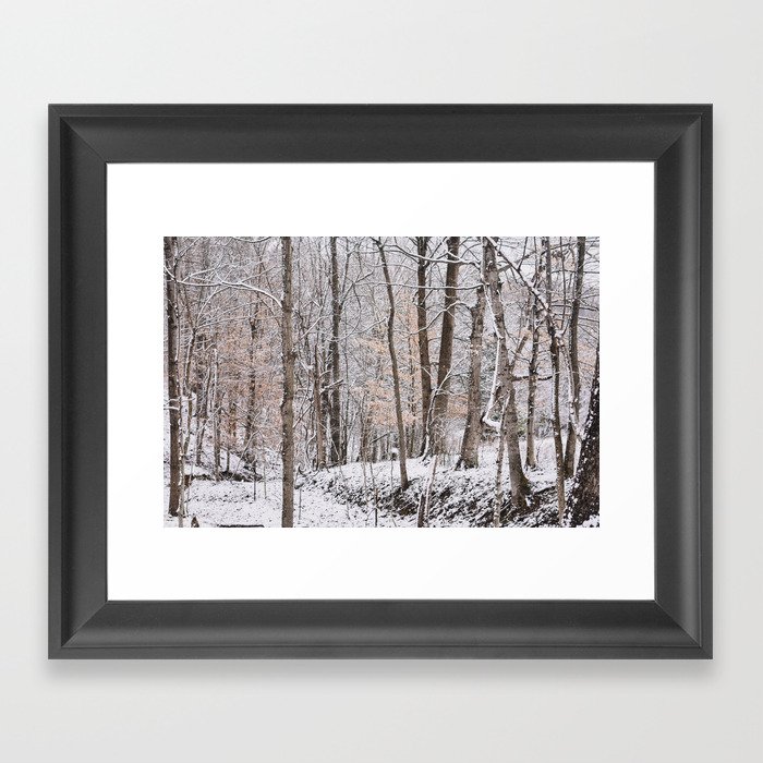 Winter Forest II Framed Art Print