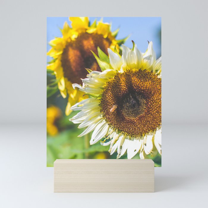Pollination Mini Art Print