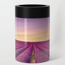 Lavender flowers field in bloom. Provence Can Cooler