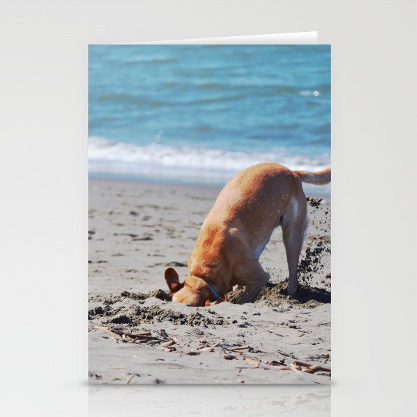 Funny Dog Beach Scene Summer Photography Stationery Cards by