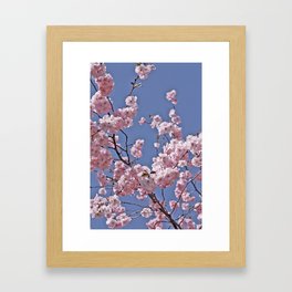 Cherry Blossoms Framed Art Print