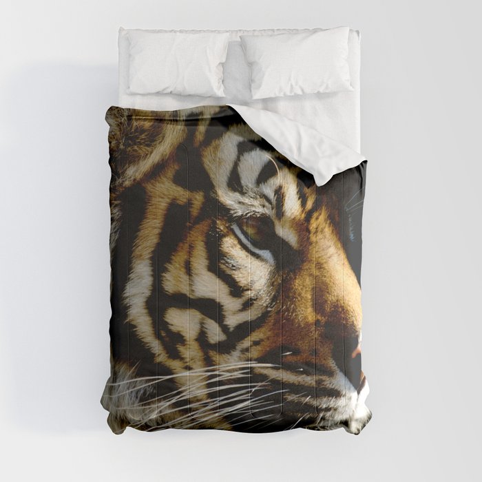 Close-up of Sumatran tiger on a black background Comforter