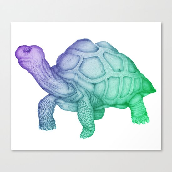 Ombre George Canvas Print
