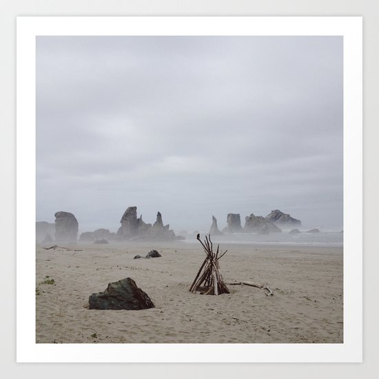 Bandon Beach Bird Art Print