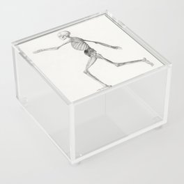 Human Skeleton, Lateral View Acrylic Box