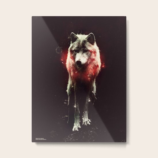 Wolf Metal Print
