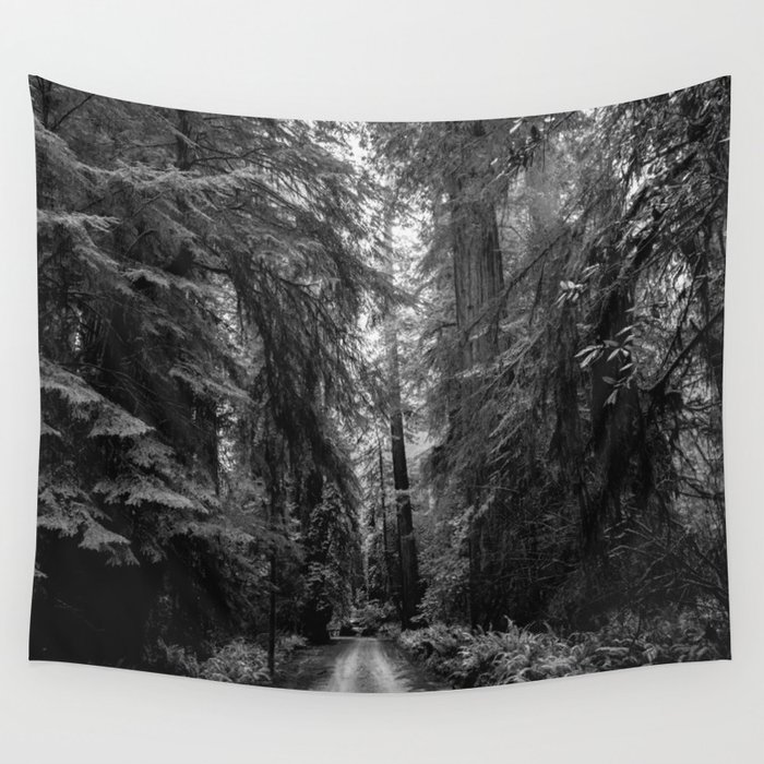 Redwood Forest Adventure Black and White - Nature Photography Wall Tapestry