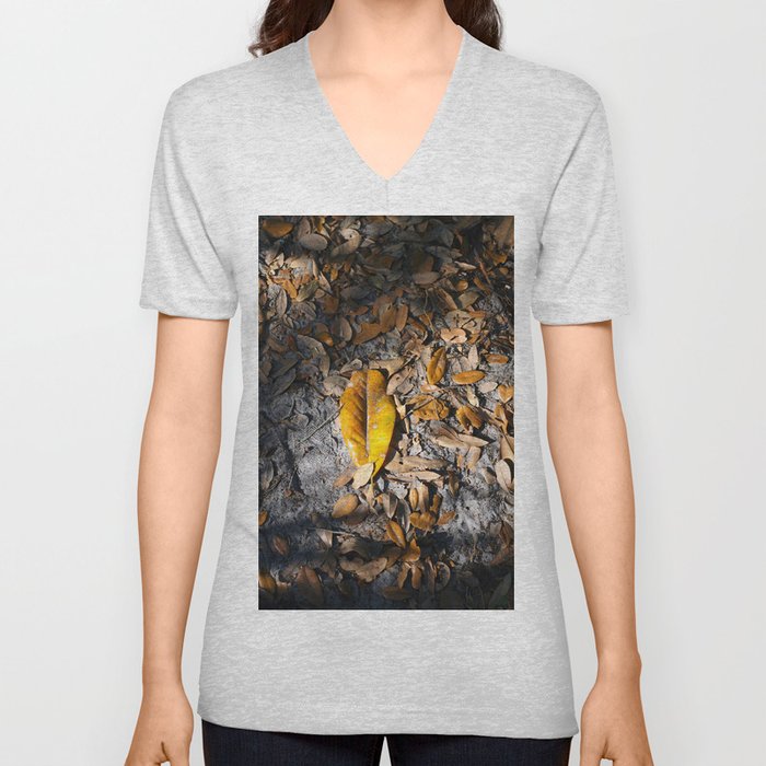 Evening Leaves Fallen on the Path . . .  V Neck T Shirt