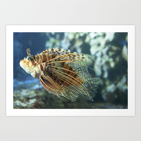 Fish Art Print