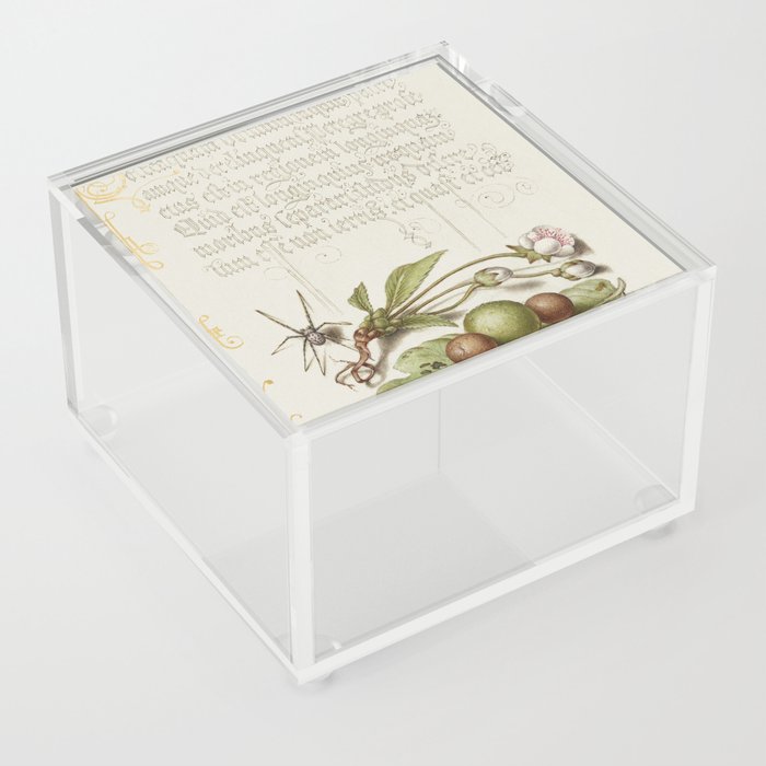 Calligraphic poster with fruit and  flowers Acrylic Box