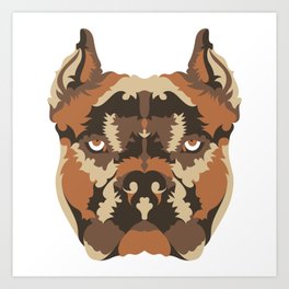 society6