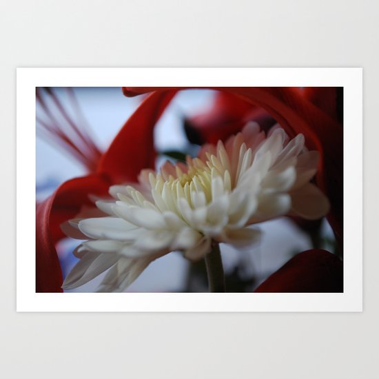 soft, soft, or cruel Art Print