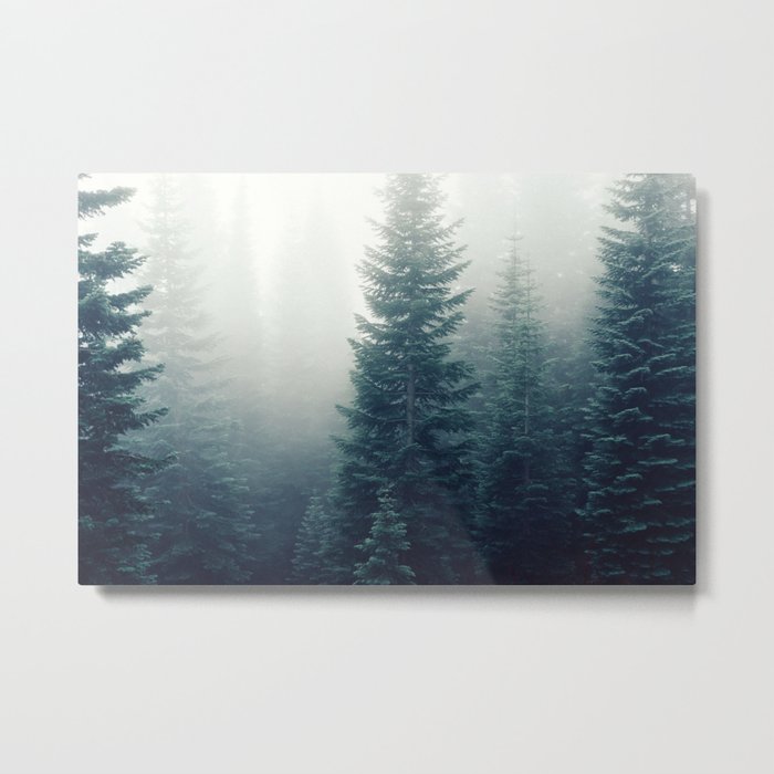 Forest and Fog Metal Print