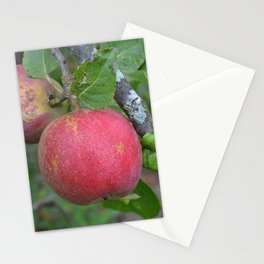 Apple Still Life Stationery Card