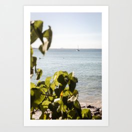 Beach life | Tropical Island | Travel photography | Australia print Art Print